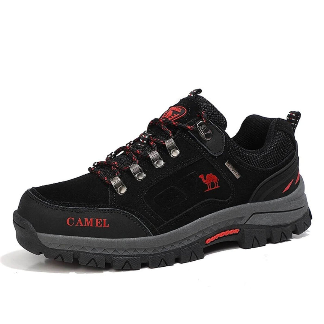 Pioneer - Ultimate Comfort for Every Adventure