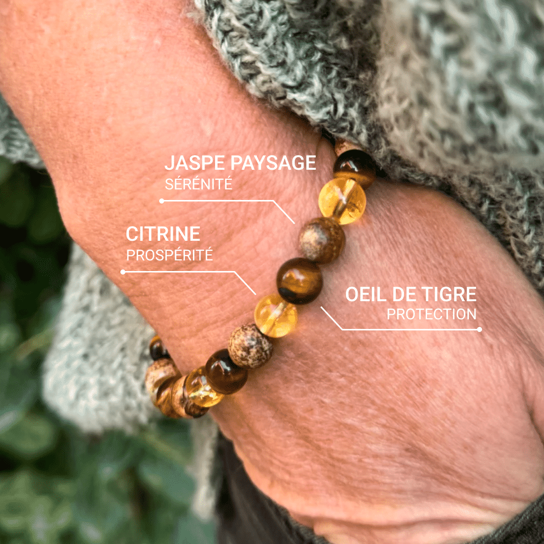 "Protection & Prosperity" Bracelet in Tiger Eye, Citrine & Landscape Jasper