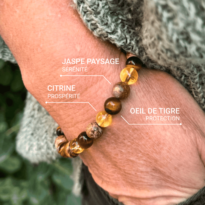 "Protection & Prosperity" Bracelet in Tiger Eye, Citrine & Landscape Jasper