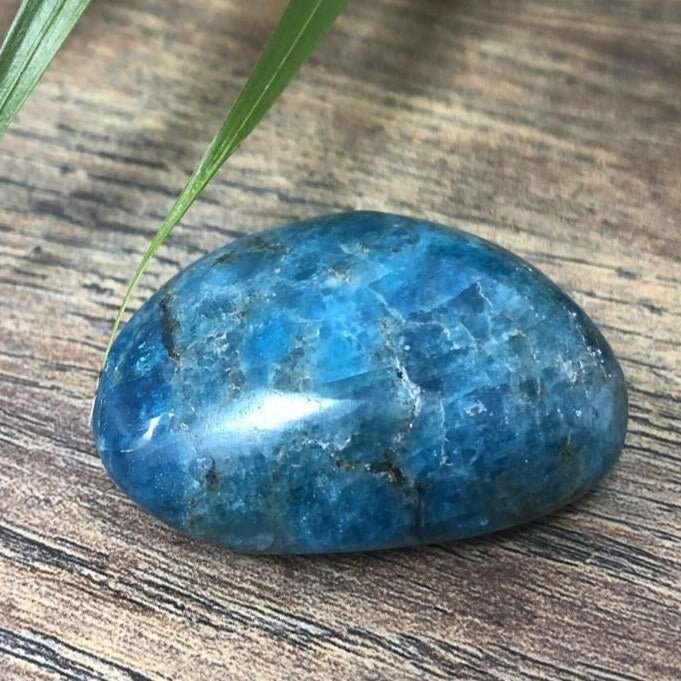 Blue Apatite Pebble - Weight Control
