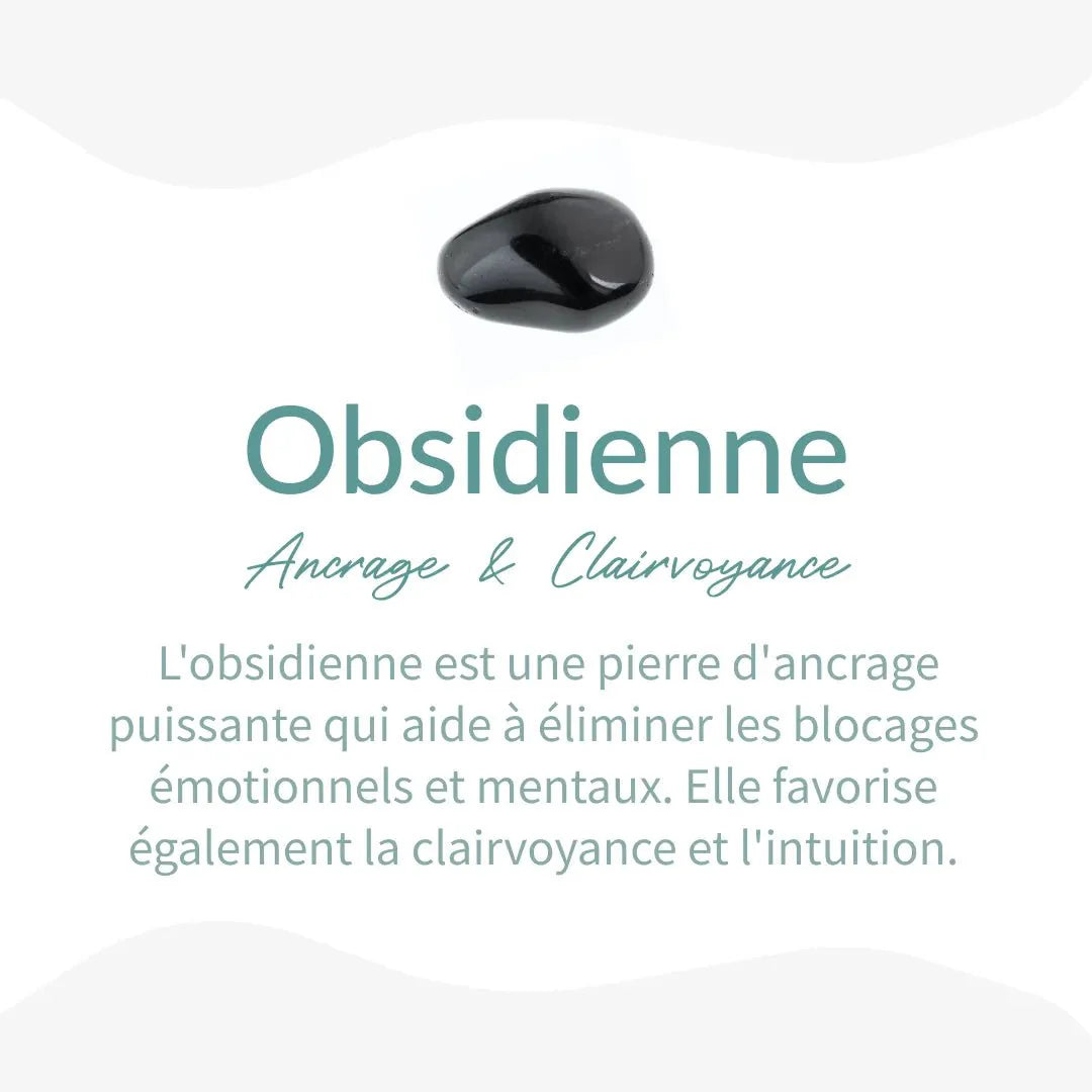 Orgonite "Amplified Energy Protection" in Obsidian