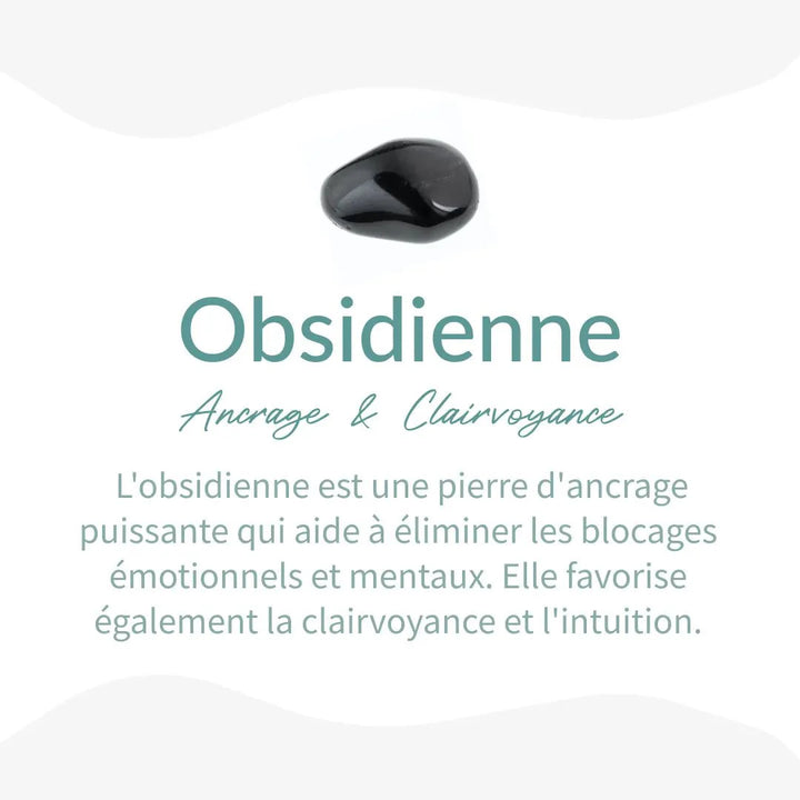 Orgonite "Amplified Energy Protection" in Obsidian