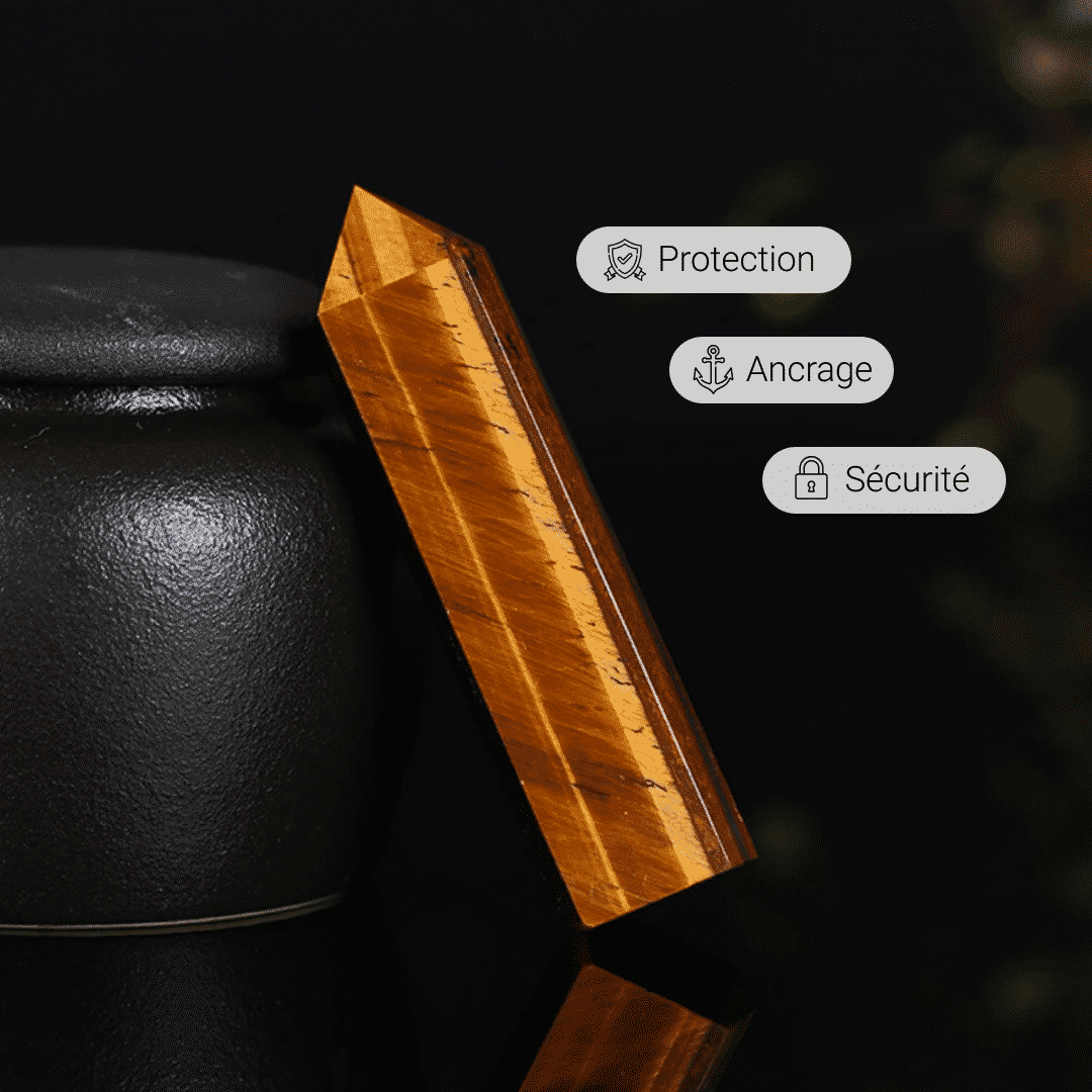 Tiger Eye Protection Point